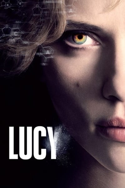 Download Lucy (2014) {Hindi-English} Dual Audio 480p & 720p & 1080p Bluray