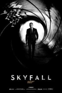 Download Skyfall (2012) BluRay Dual Audio {Hindi-English} 480p | 720p | 1080p